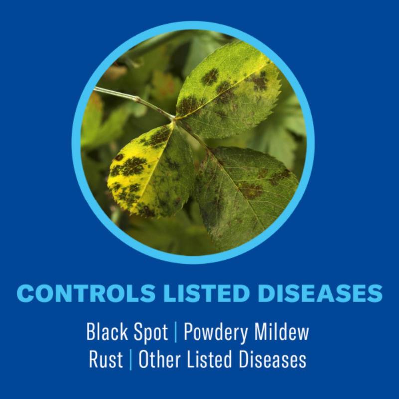 BioAdvanced Insect Disease & Mite Control Spray 24 oz