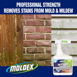 Moldex Instant Outdoor Cleaner 64 oz