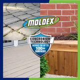 Moldex Instant Mold and Mildew Stain Remover 32 oz.