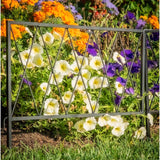 Glamos Wire 22 ft. L X 18 in. H Metal Black Garden Fence