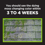 Corry's Moss Herbicide Granules 4 lb