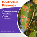 Bonide Sulfur Organic Concentrated Dust Fungicide 4 lb