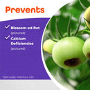 Bonide Rot-Stop Liquid Plant Food 16 oz