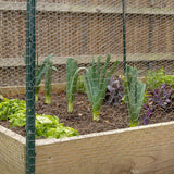 Garden Craft 36 in. H X 150 ft. L Galvanized Steel Poultry Netting 1 in.