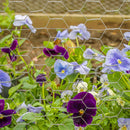 Garden Craft 36 in. H X 150 ft. L Galvanized Steel Poultry Netting 1 in.