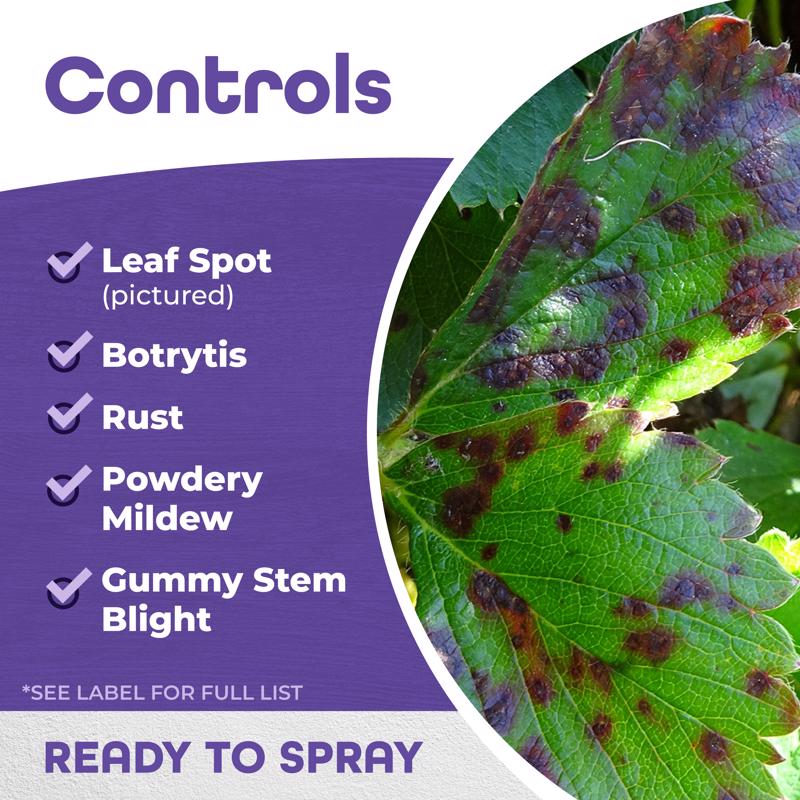 Bonide All seasons Organic Horticultural Spray Oil Liquid 32 oz