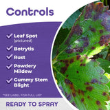 Bonide All seasons Organic Horticultural Spray Oil Liquid 32 oz