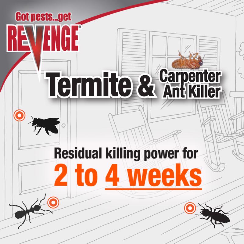Bonide Termite  Carpenter Ant Insect Killer Aerosol 15 oz