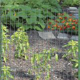 Garden Craft 48 in. H X 50 ft. L Steel Welded Wire Fence 2x3 in.