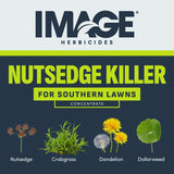 Lilly Miller Image Nutsedge Killer RTS Hose-End Concentrate 32 oz