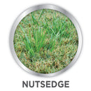 Lilly Miller Image Nutsedge Killer RTS Hose-End Concentrate 32 oz