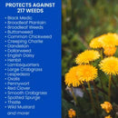 BioAdvanced Weed and Crabgrass Killer Concentrate 40 oz