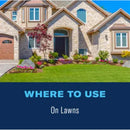 BioAdvanced Granules Fungicide 10 lb