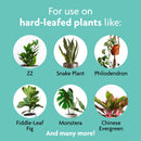 Miracle-Gro Liquid Plant Shine 8 oz