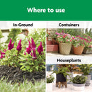 Miracle-Gro Shake 'n Feed Granules All Purpose Plant Food 4.5 lb