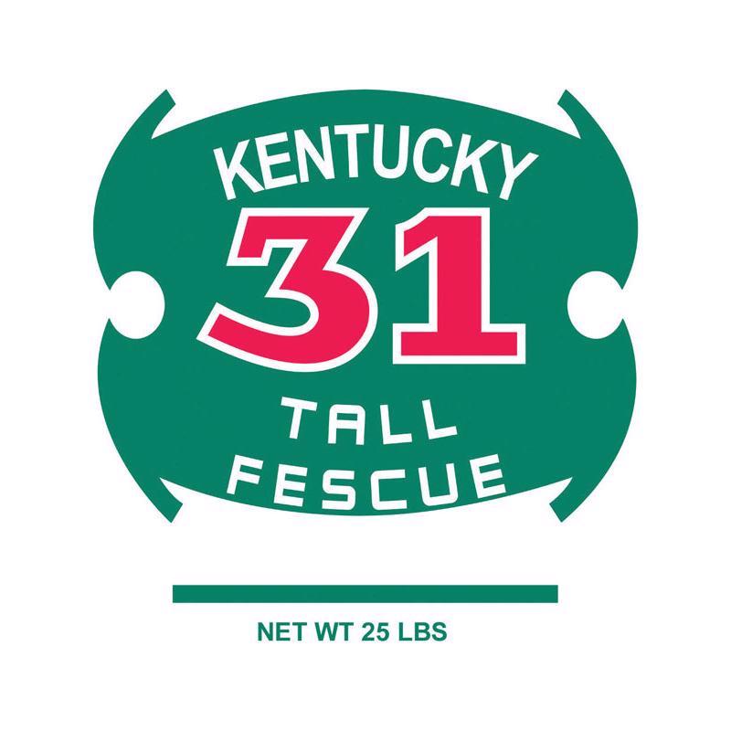 FESCUE TALL KENTUCKY 31