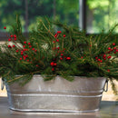 Behrens 4 gal Steel Tub Oval