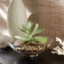 Mosser Lee Assorted River Gravel River Pebbles 5 lb