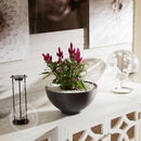 Mosser Lee White White Nuggets Marble Nuggets 5 lb