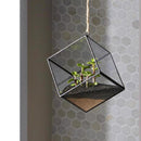 Mosser Lee Black Sand Soil Cover 5 lb