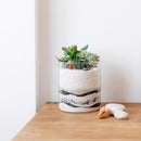 Mosser Lee Black Sand Soil Cover 5 lb