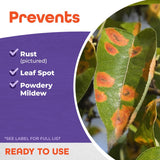 Bonide Sulfur Organic Concentrated Dust Fungicide 1 lb