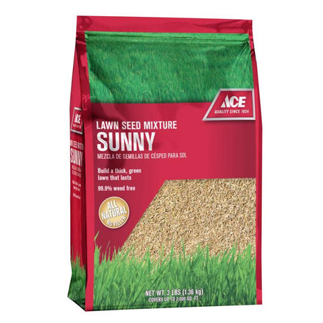 ACE SUNNY GRASS SEED 3#