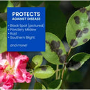 BioAdvanced All-in-One Rose and Flower Care Liquid Concentrate Plant Food 32 oz