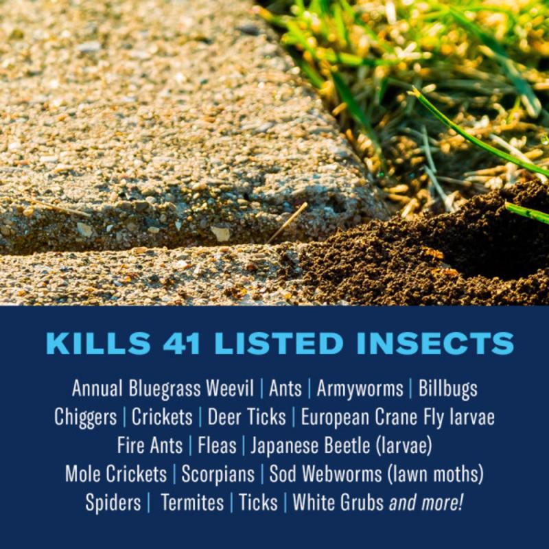 BioAdvanced Complete Insect Killer Granules 10 lb