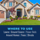 BioAdvanced Complete Insect Killer Granules 10 lb