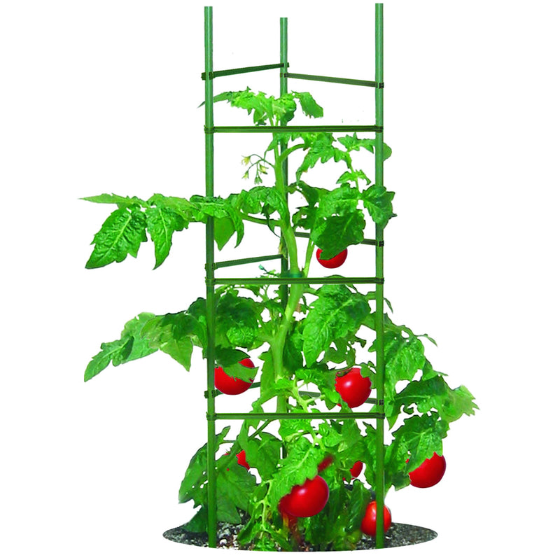 ULTOMATO POLY TOMATOCAGE