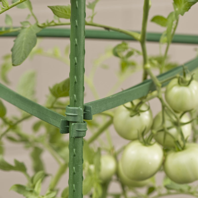 Gardener's Blue Ribbon 60 in. H X 12 in. W Green Steel Tomato Cage