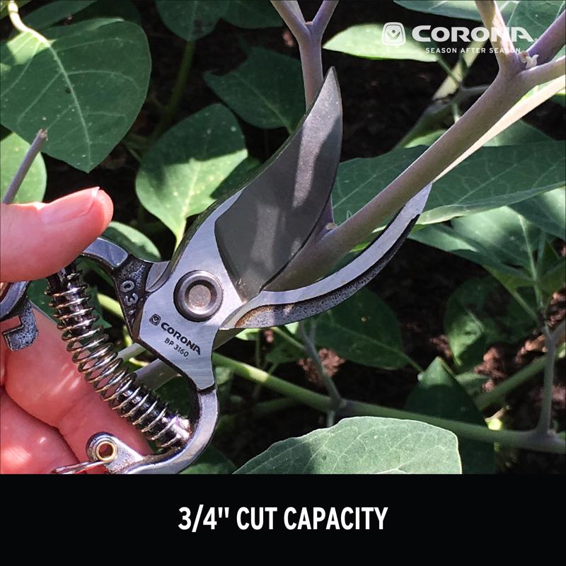 Corona Classic Cut 8 in. Steel Bypass Pruners