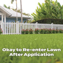 Scotts Turf Builder All-Purpose Southern Lawn Food For All Grasses 5000 sq ft