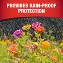 GardenTech Daconil Concentrated Liquid Fungicide 16 oz