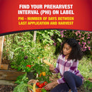 GardenTech Daconil Concentrated Liquid Fungicide 16 oz