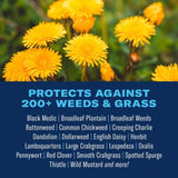 BioAdvanced Weed and Crabgrass Killer RTU Liquid 1 gal