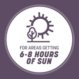 Pennington Annual Ryegrass Sun or Shade Grass Seed 25 lb