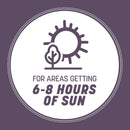 Pennington Annual Ryegrass Sun or Shade Grass Seed 25 lb