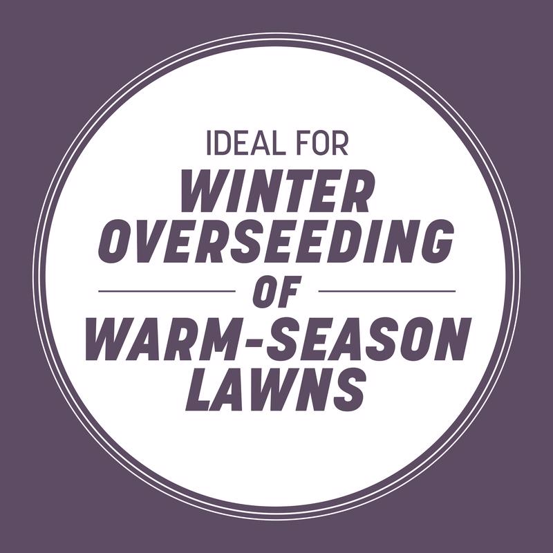 Pennington Annual Ryegrass Sun or Shade Grass Seed 25 lb