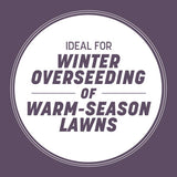 Pennington Annual Ryegrass Sun or Shade Grass Seed 25 lb