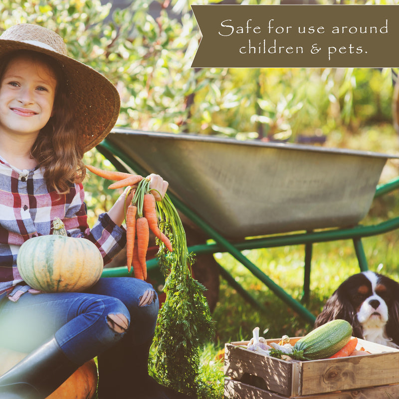 Preen Weed Preventer Granules 5 lb