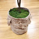 Mosser Lee Organic Green Sheet Moss 325 sq in