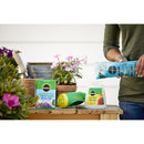 Miracle-Gro Powder Azalea, Camellia, Rhododendron Plant Food 1.5 lb