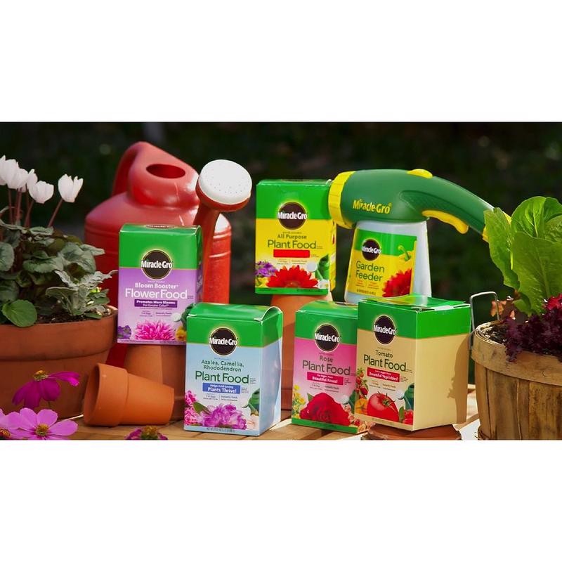 Miracle-Gro Powder Rose Plant Food 1.5 lb