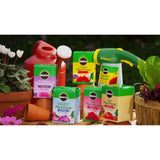 Miracle-Gro Powder Rose Plant Food 1.5 lb