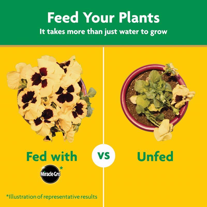 Miracle-Gro Powder Plant Food 1.5 lb