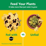 Miracle-Gro Powder Plant Food 1.5 lb