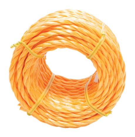 Ace 1/4 in. D X 50 ft. L Yellow Twisted Poly Rope