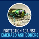 BioAdvanced Insect Control with Fertilizer Granules 4 lb